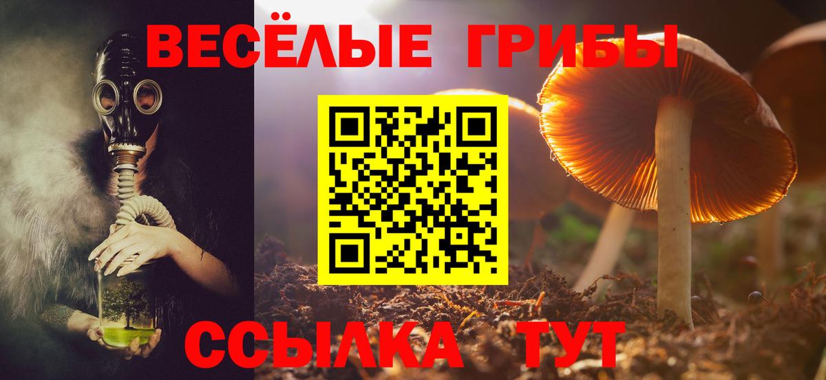 Железноводск  Галлюциногенные грибы Cubensis  Вход с VPN 